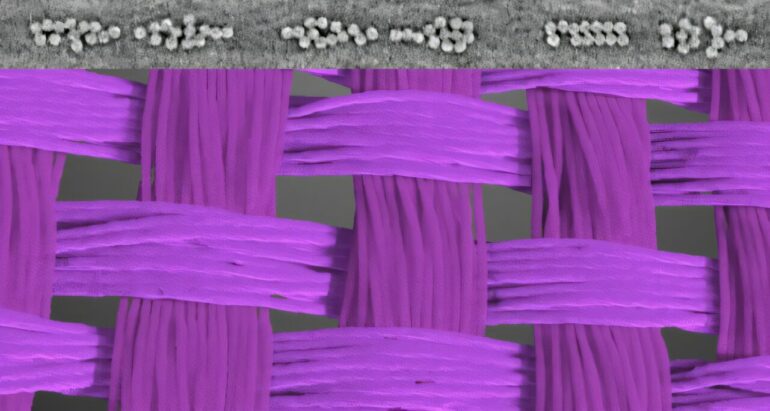 Falling for it: A micro-scale look at how parachute fibers act ...