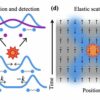 Accelerator studies propel quantum research into a higher energy orbit