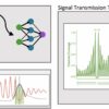 Advanced model predicts gene architecture via nucleosome position