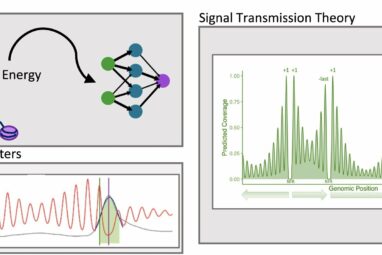 Advanced model predicts gene architecture via nucleosome position