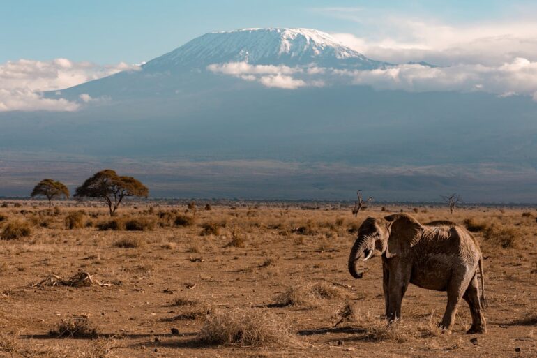 Africa's famous Serengeti and Maasai Mara are being hit by climate ...