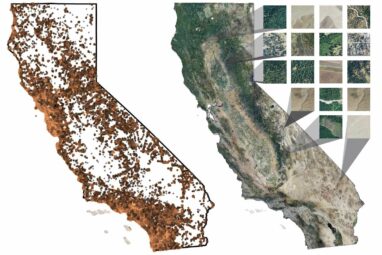 AI empowers iNaturalist to map California plants with ...