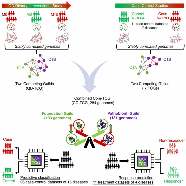 AI models help redefine core microbiome for personalized therapies