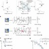 Overcoming 'catastrophic forgetting': Algorithm inspired by brain ...