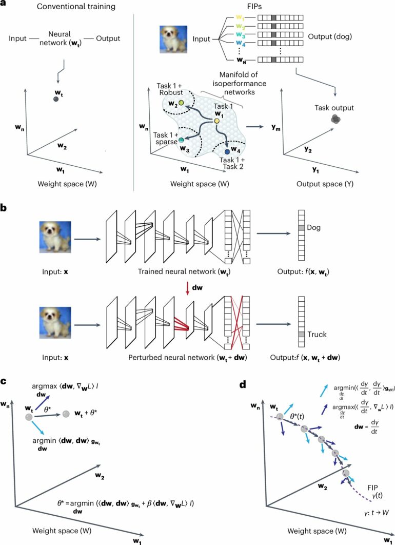 Overcoming 'catastrophic forgetting': Algorithm inspired by brain ...