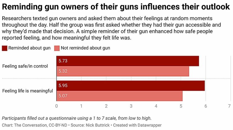 Americans own guns to protect themselves from psychological as ...