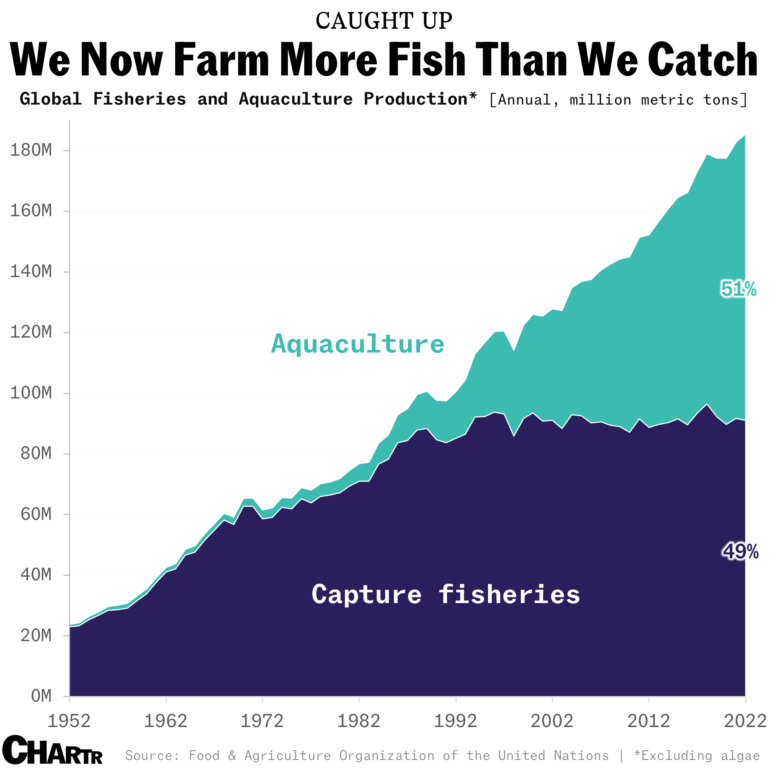 We now farm more fish than we catch - Sherwood News