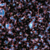 Astronomers find Webb data conflict with reionization models