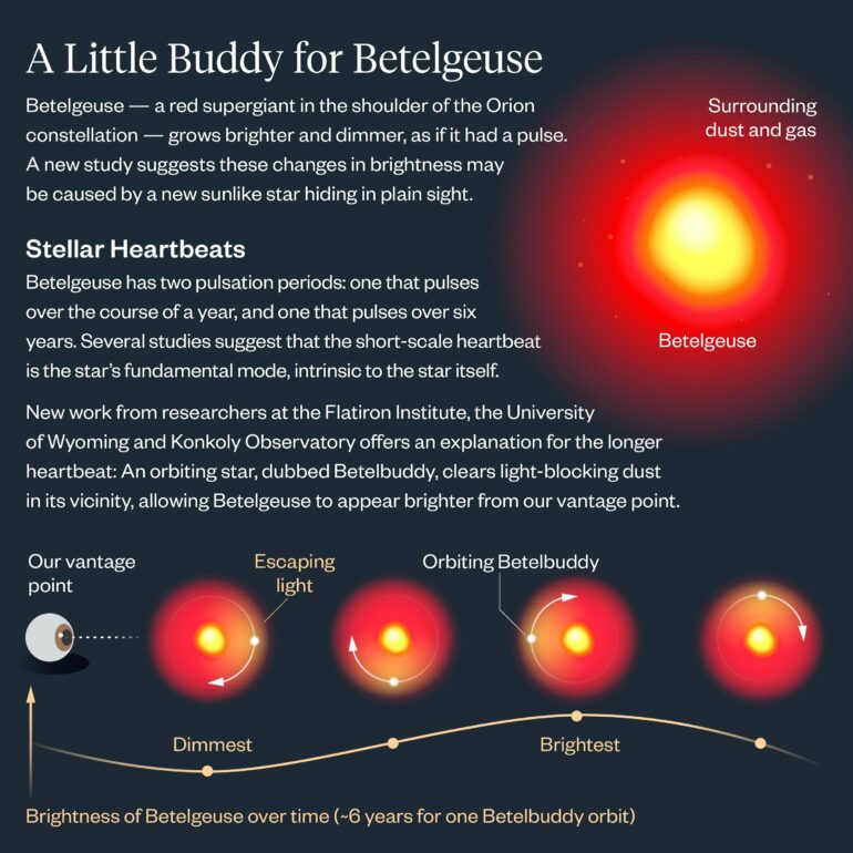 Betelgeuse Betelgeuse? Bright star Betelgeuse likely has a ...