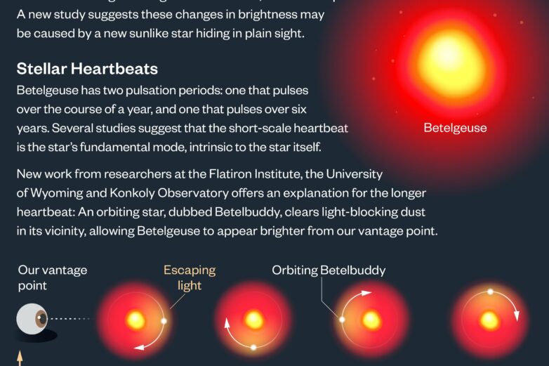 Betelgeuse Betelgeuse? Bright star Betelgeuse likely has a ...