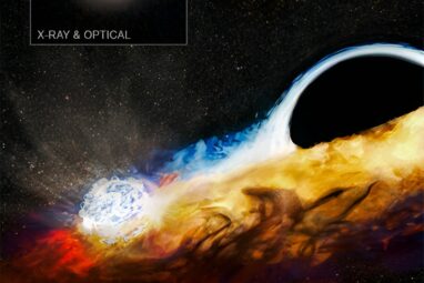 Black hole destroys star, goes after another