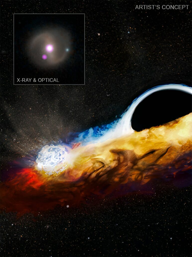 Black hole destroys star, goes after another