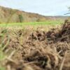 Changing climate could increase mobility of toxic metals in soils ...