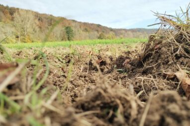 Changing climate could increase mobility of toxic metals in soils ...