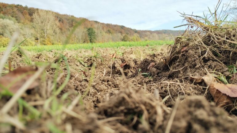 Changing climate could increase mobility of toxic metals in soils ...