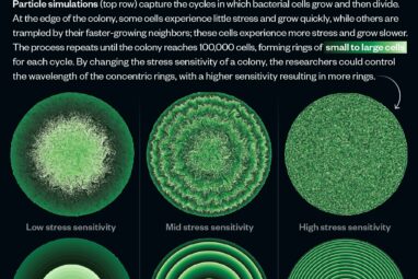 Claustrophobic cells slow their own growth, forming beautiful ...