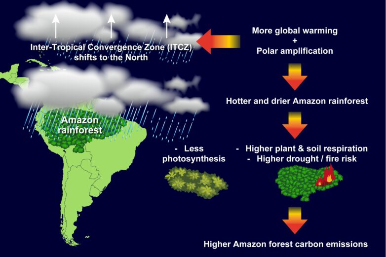 Study reveals that future climate change may reduce the Amazon ...