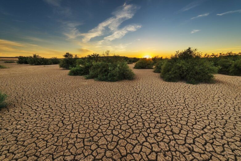 Global study warns water security threatened by droughts and heat ...