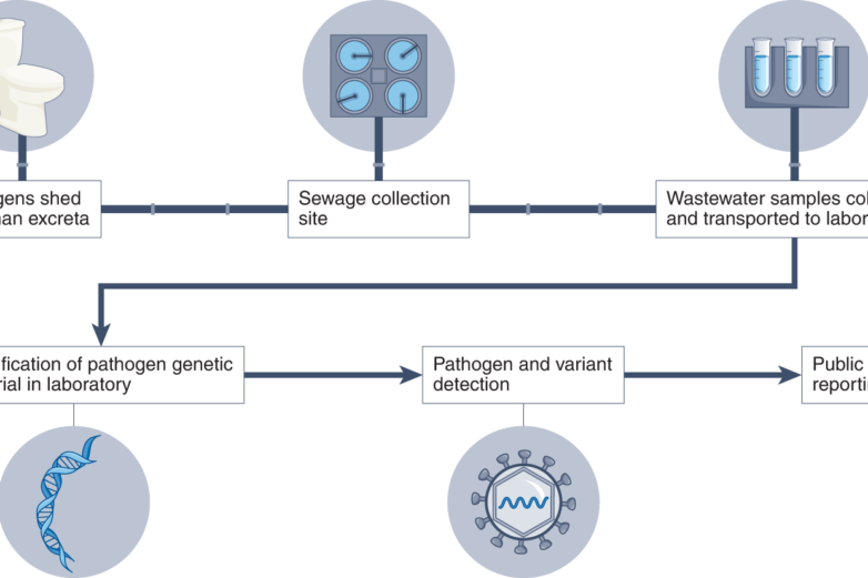 Wastewater surveillance of pathogens can inform public health ...