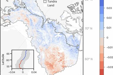 Declines in plant resilience threaten carbon storage in the Arctic