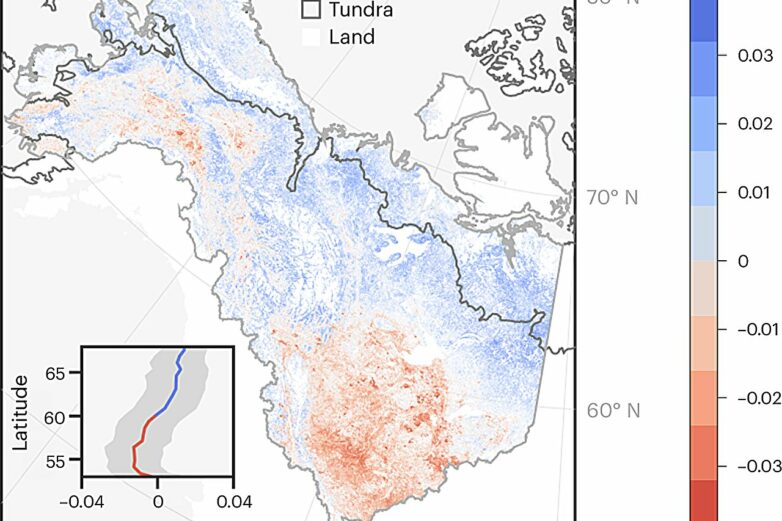 Declines in plant resilience threaten carbon storage in the Arctic