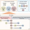 Impact of zinc supplementation on phenotypic antimicrobial ...