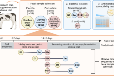 Impact of zinc supplementation on phenotypic antimicrobial ...