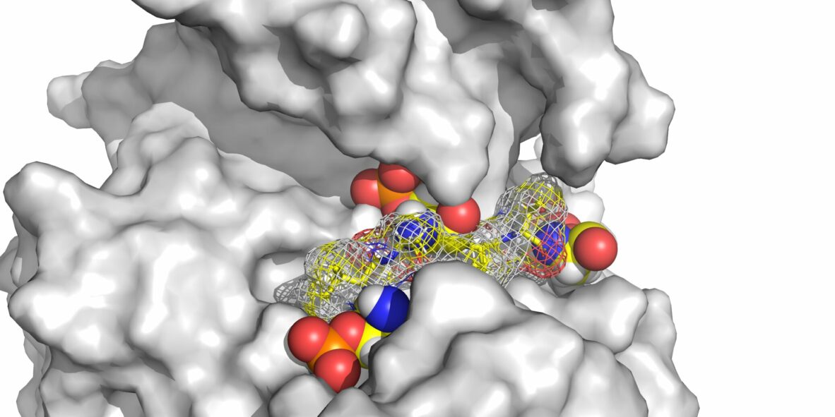 Ending jet lag: Scientists discover secret to regulating our body ...