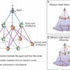 Experimental approach analyzes how our relationships affect the ...