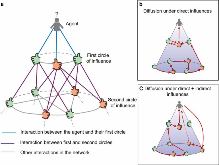 Experimental approach analyzes how our relationships affect the ...