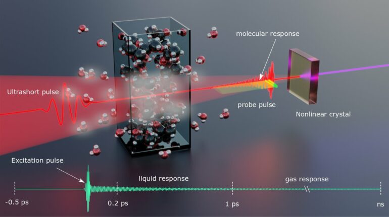 Femtosecond fieldoscopy accesses molecule fingerprints at near ...