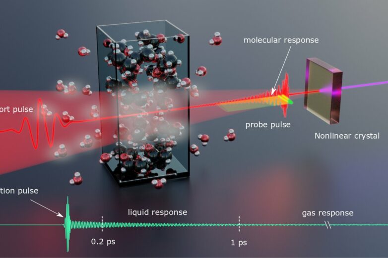 Femtosecond fieldoscopy accesses molecule fingerprints at near ...