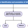 Frontiers | Artificial intelligence tools for the identification ...