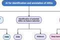 Frontiers | Artificial intelligence tools for the identification ...