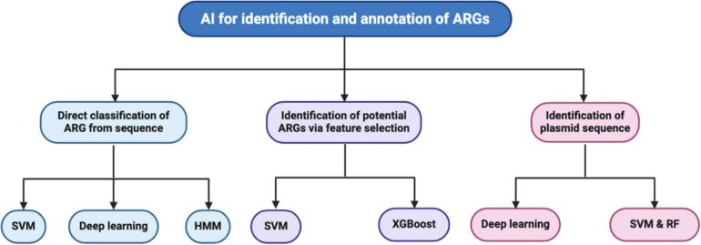 Frontiers | Artificial intelligence tools for the identification ...