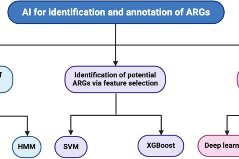 Frontiers | Artificial intelligence tools for the identification ...