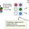 Fluorescence-activated cell sorting platform offers new way to ...