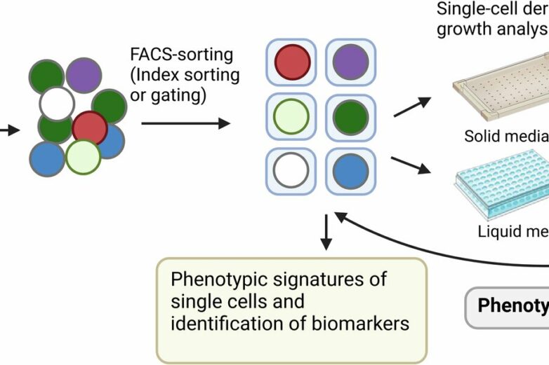 Fluorescence-activated cell sorting platform offers new way to ...