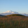 Genetic study of wider Caucasus region shows how steppe ...