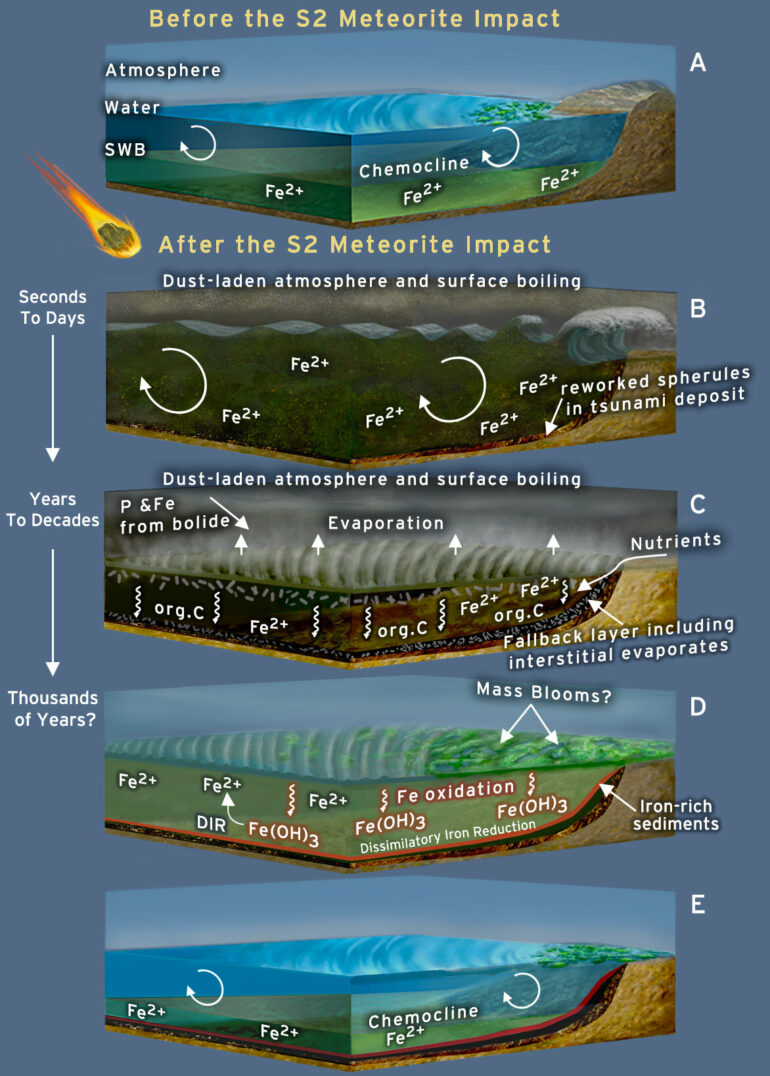 Giant meteorite impact 3.26 billion years ago may have aided early ...