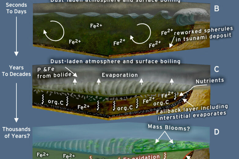 Giant meteorite impact 3.26 billion years ago may have aided early ...