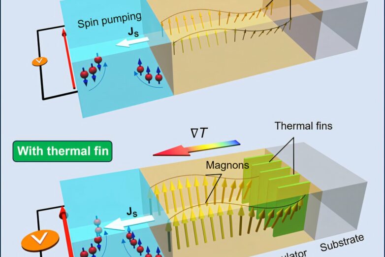 Gold structures improve spin wave transfer to address electronics ...