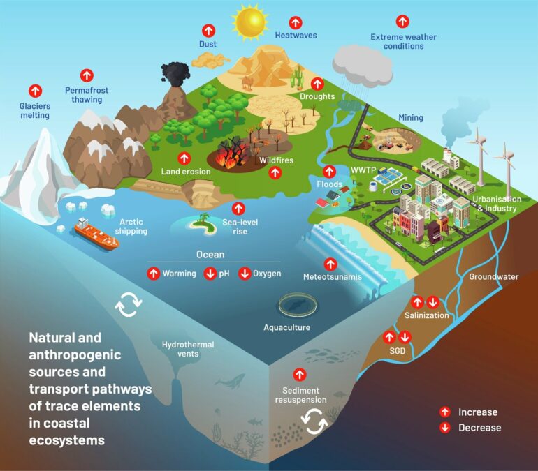 Heavy metals in the ocean become more toxic: How climate change ...