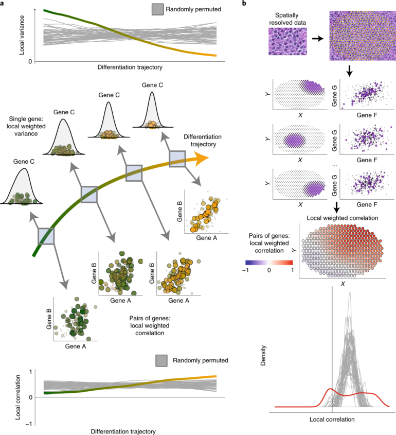 Investigating higher-order interactions in single-cell data with ...