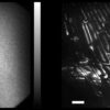 Image-guided computational holographic wavefront shaping: Fast ...