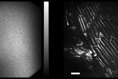 Image-guided computational holographic wavefront shaping: Fast ...