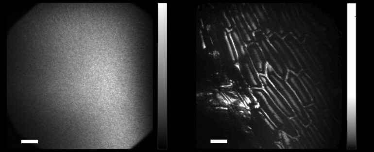 Image-guided computational holographic wavefront shaping: Fast ...