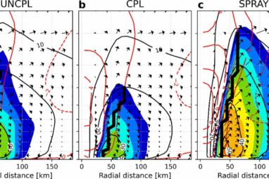 Incorporating effects of sea spray into models to improve ...