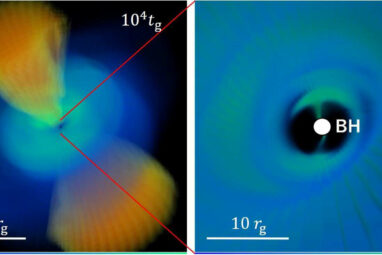 Influence of a black hole's spin: First evidence of precession in ...