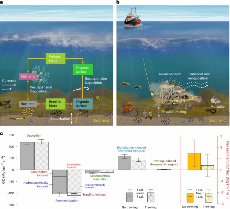 Intensive fishing on the seabed increases the release of carbon ...